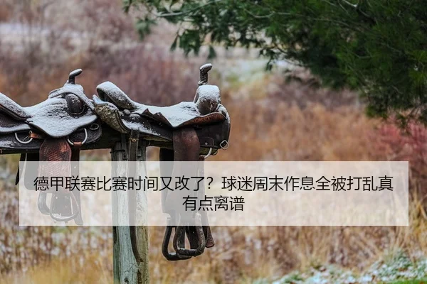 德甲联赛比赛时间又改了？球迷周末作息全被打乱真有点离谱