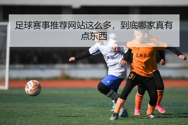 zu-qiu-sai-shi-tui-jian-wang-zhan-zhe-me-duo-dao-di-na-jia-zhen-you-dian-dong-xi-2-413.jpg