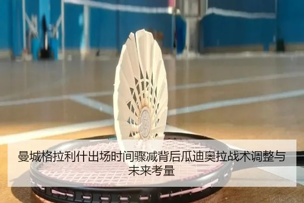 曼城格拉利什出场时间骤减背后瓜迪奥拉战术调整与未来考量