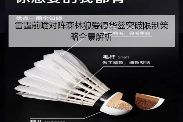 雷霆前瞻对阵森林狼爱德华兹突破限制策略全景解析